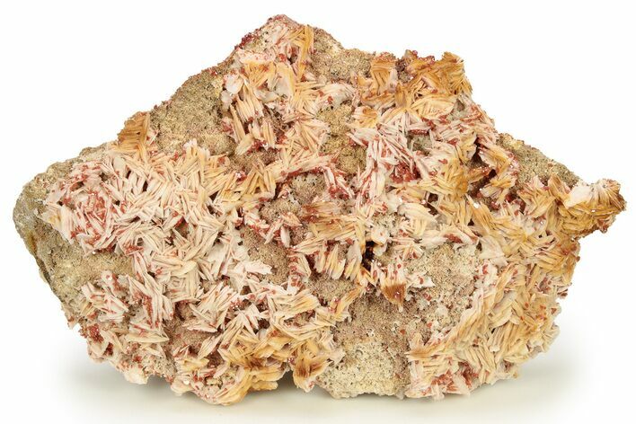 Top-Quality, Ruby Red Vanadinite Crystals on Barite - Morocco #278226